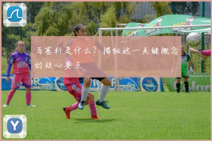 马塞科是什么？揭秘这一关键概念的核心要点
