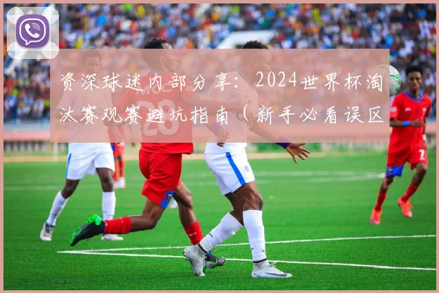 资深球迷内部分享:2024世界杯淘汰赛观赛避坑指南(新手必看误区大全)